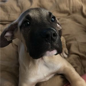 Meet your Posher, Patrick